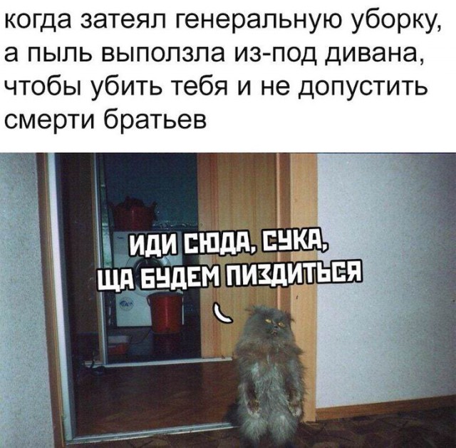 Федя, дичь!