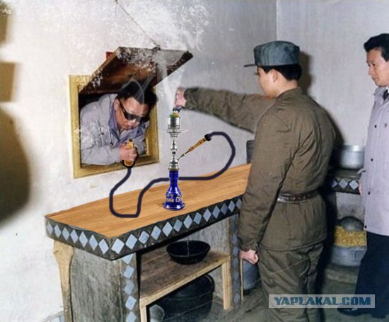 Фотожаба: Мясо свежее?