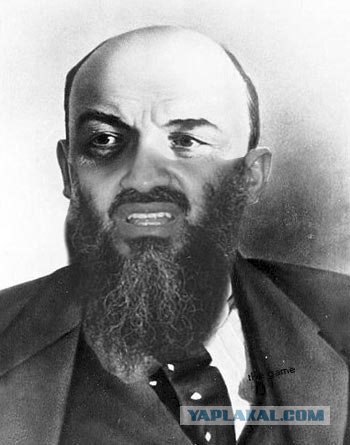 Жабим бороду?