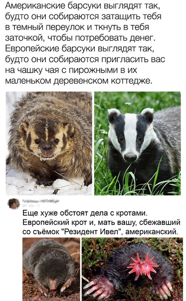 Картинки всякие 06.12.20