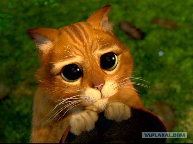 Можно я с краешку прилягу?