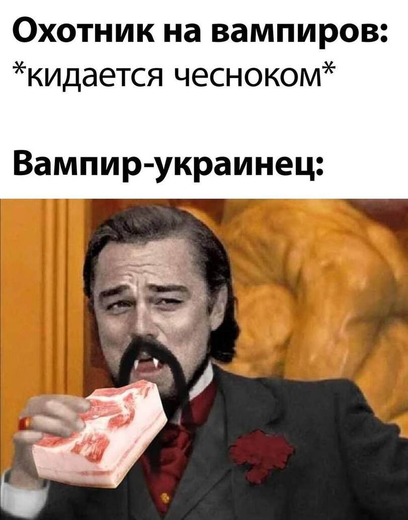 15919099.jpg