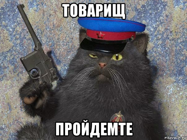 Концерт под портретом Сталина прошел в красноярской школе в День учителя