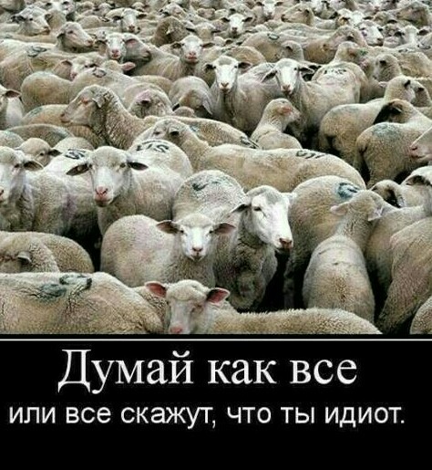 Подмосковье после 7го ноября будет жить по QR кодам
