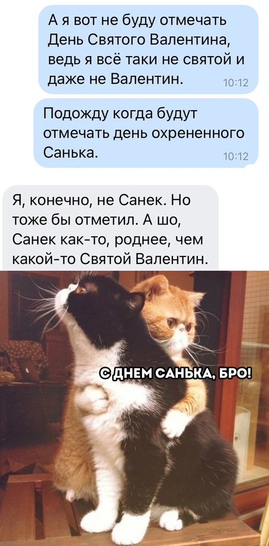 Так себе картинки 15.02.22