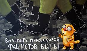 Война и Котики