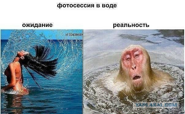 Немного картинок."Колбасный ветер". Август