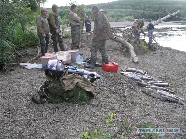Дружба животных