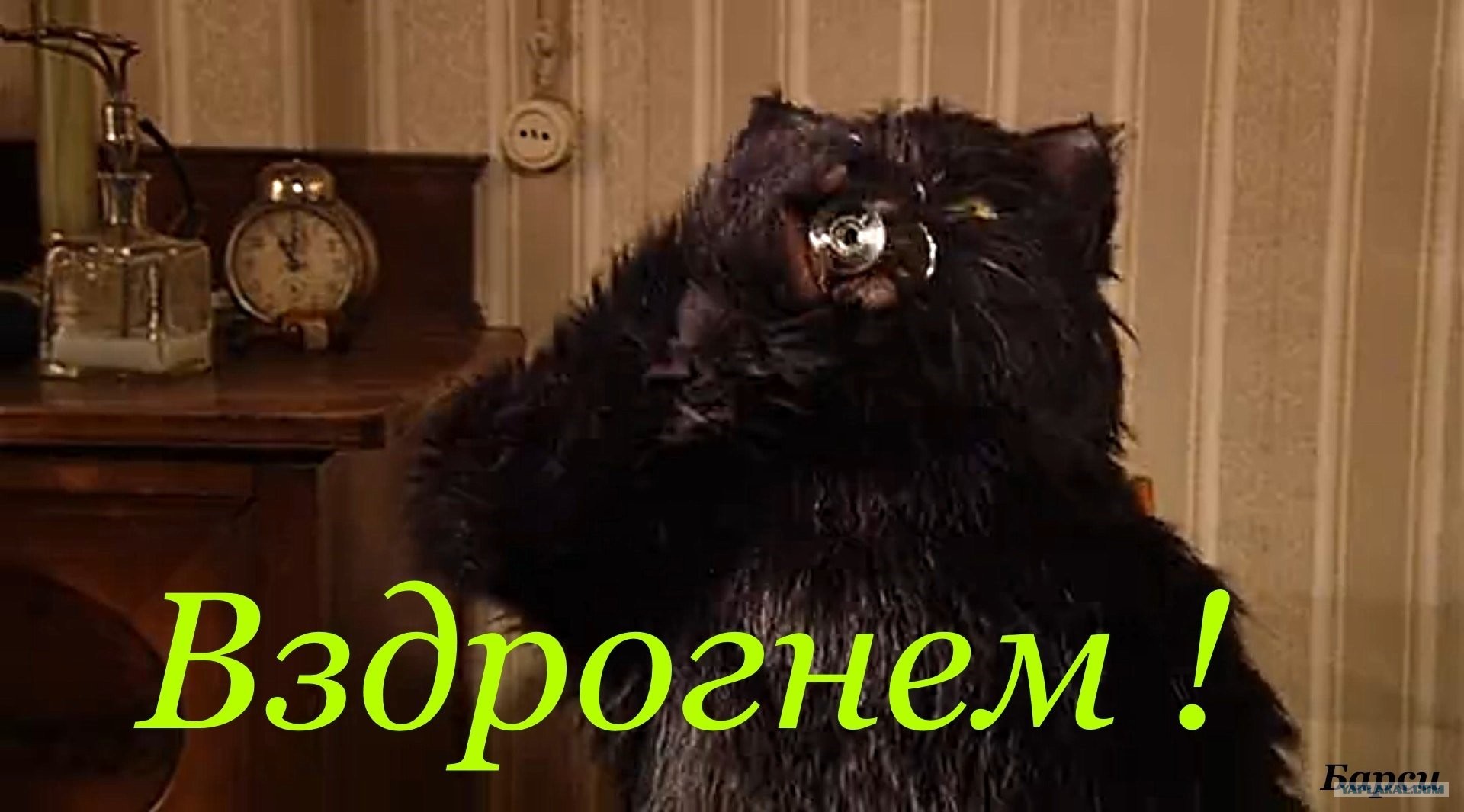 Кот бегемот