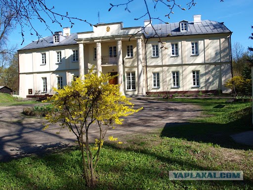Кодень - как поживает польская деревня расположена в километре от границы с Беларусью
