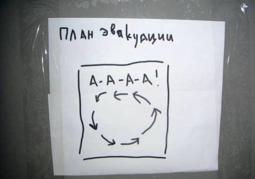 Склад баянов