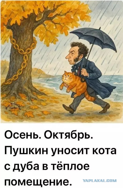Картиночки, баянчики 01 июня
