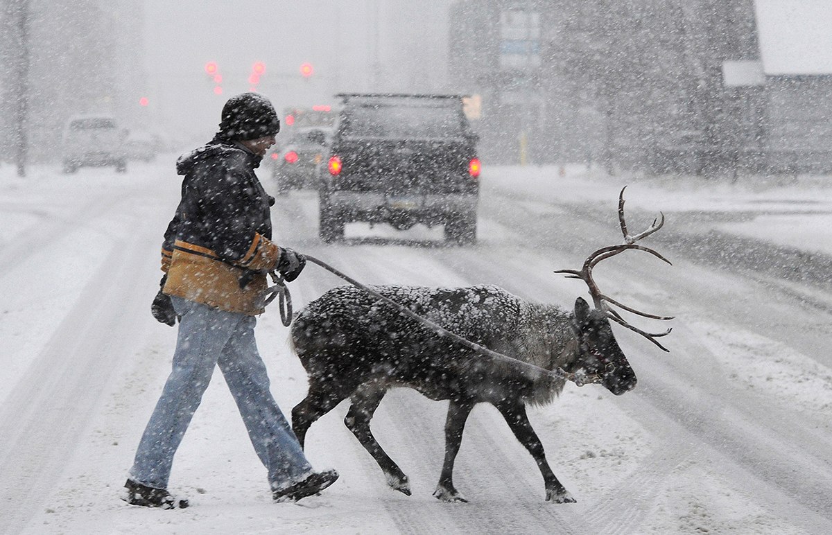 Meanwhile in canada