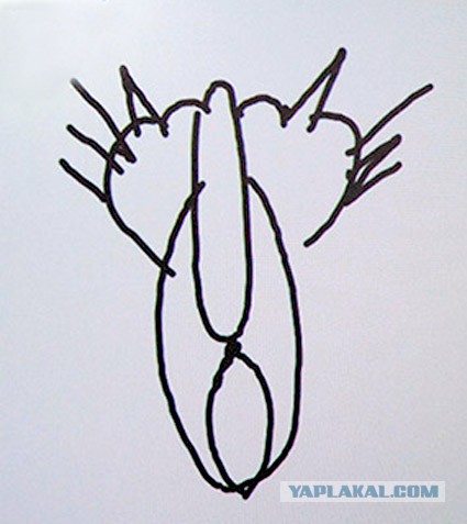 Прямая трансляция пресс-конференции!