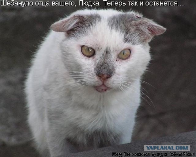 Дерзкие и брутальные