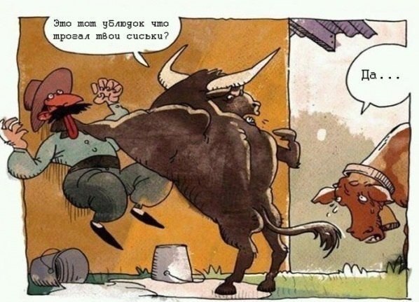 Картинки