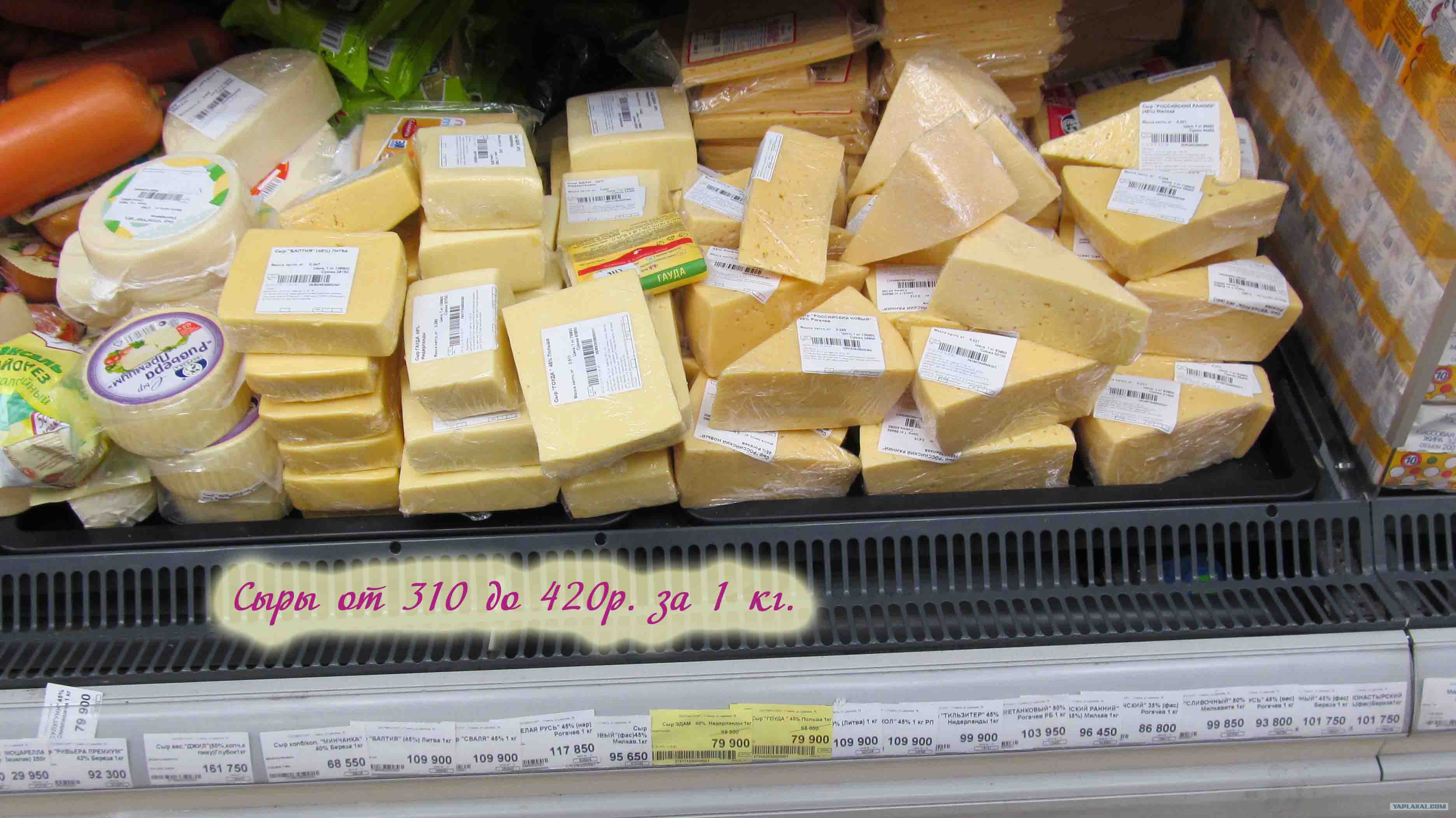 Сколько стоит дешевый сыр. Сыры на развес. Дешевый сыр. Сыр российский на развес. Витрина сыры на развес в магазине.