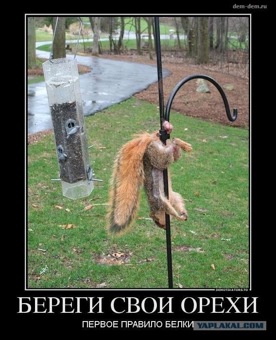 Москвичу в сауне удалили яички