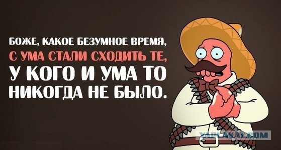 В министры экономики её!