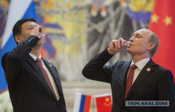 За что я люблю китайцев