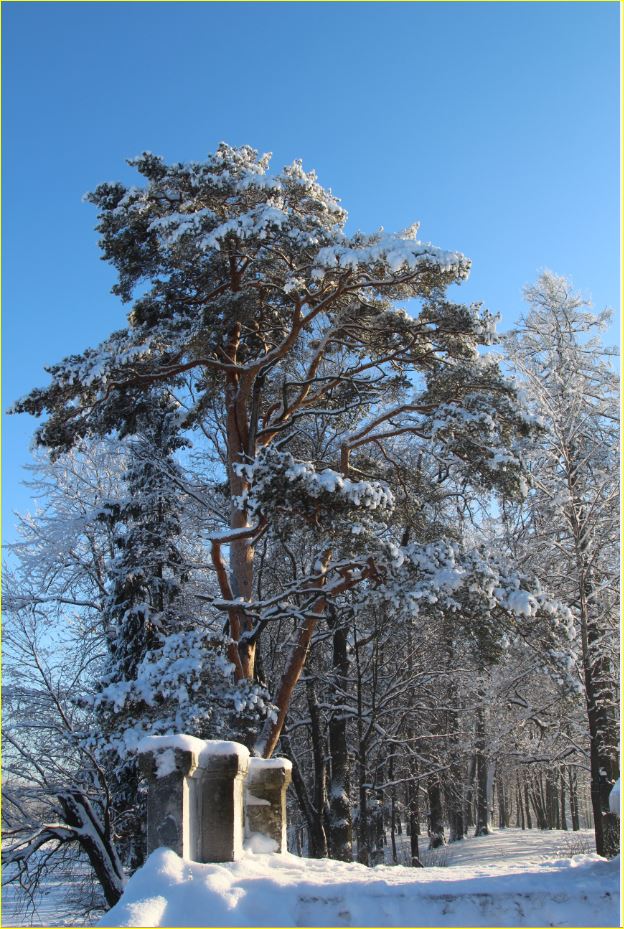 Немного моих фото, авторское