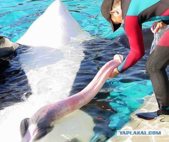 Причем тут Путин!? если власть ворует и обманывает людей