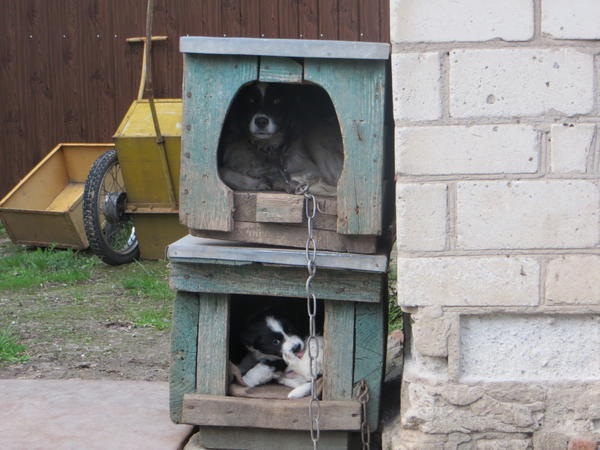 Интересные моменты из жизни  деревни