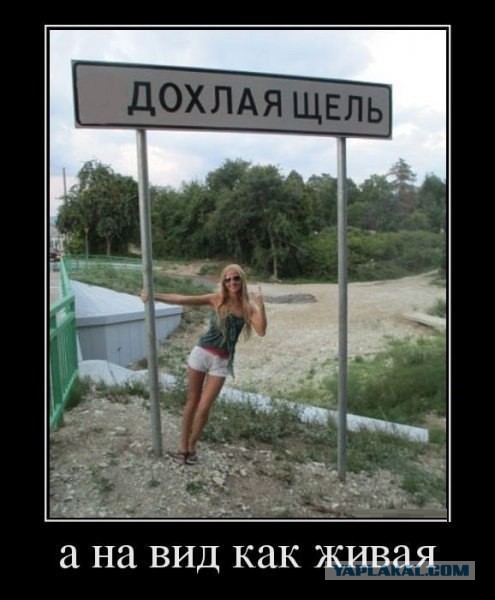 Подборка интересных и веселых картинок