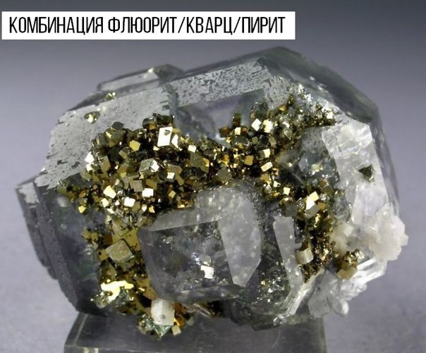 Интересные и веселые картинки