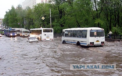 А у нас дождик прошел...