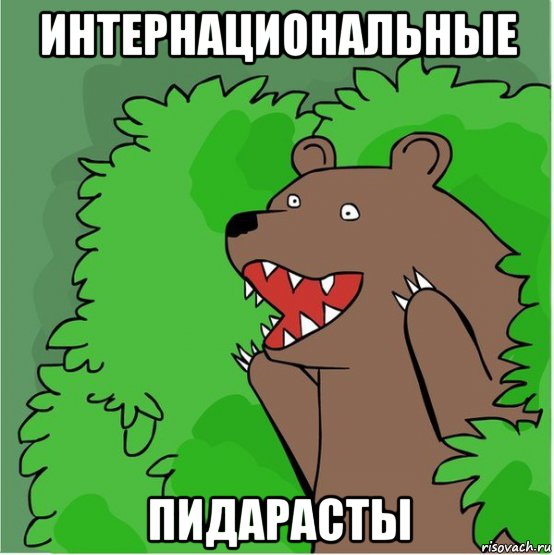 Банда азиатских транссексуалов объяснила, что их толкнуло на кражу чихуахуа под Москвой