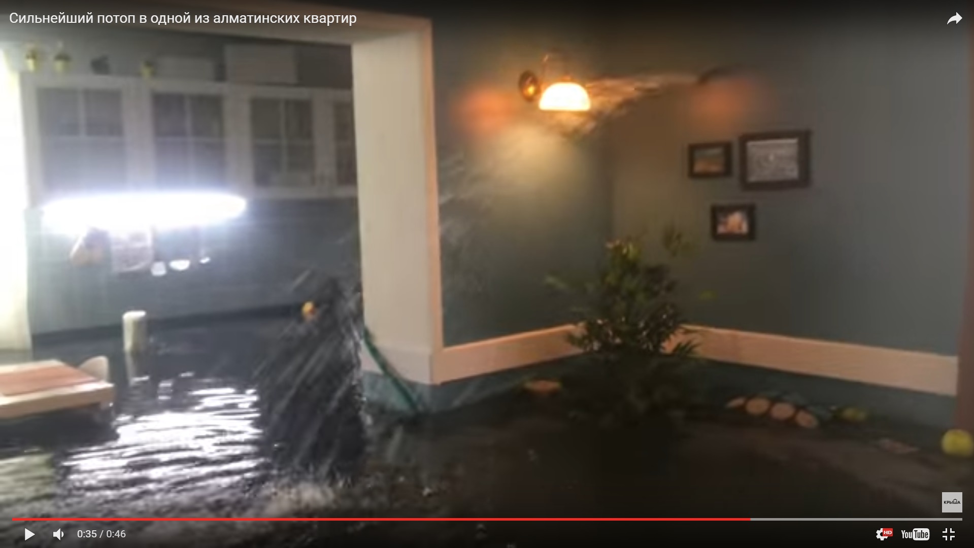 Сонник затапливает квартиру. Потоп в квартире. Сильный потоп в квартире. Потоп в дорогой квартире. Потоп в квартире видео.