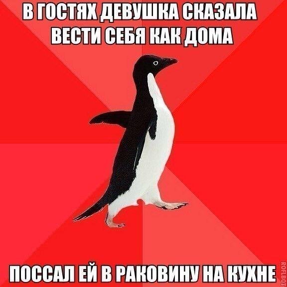 Приколы в стиле "регресс"