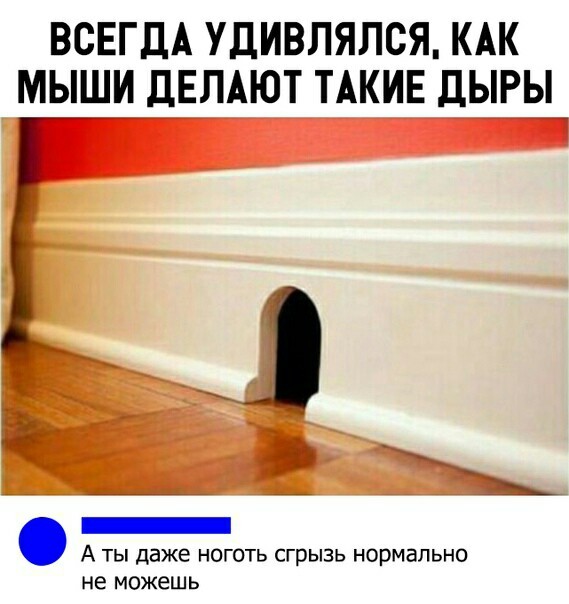 Утечка мозгов