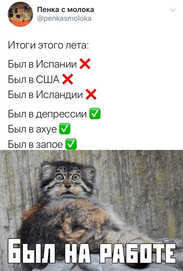 Картинки с надписями, истории и анекдоты 03.09.19.
