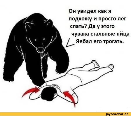 Если на вас напал медведь