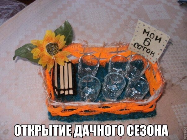 Сегодня пятница, а это значит...