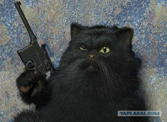 Алексей не «Новичок»