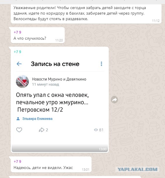 Мурино. Опять летают. Но, теперь уже страшно