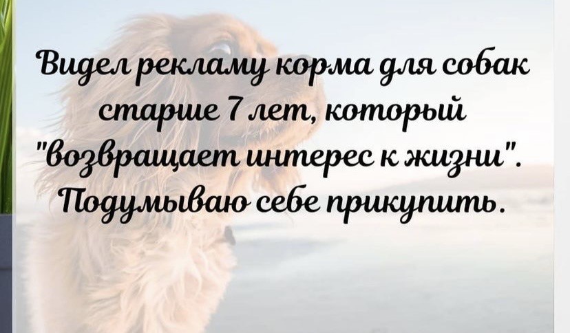 16067199.jpg