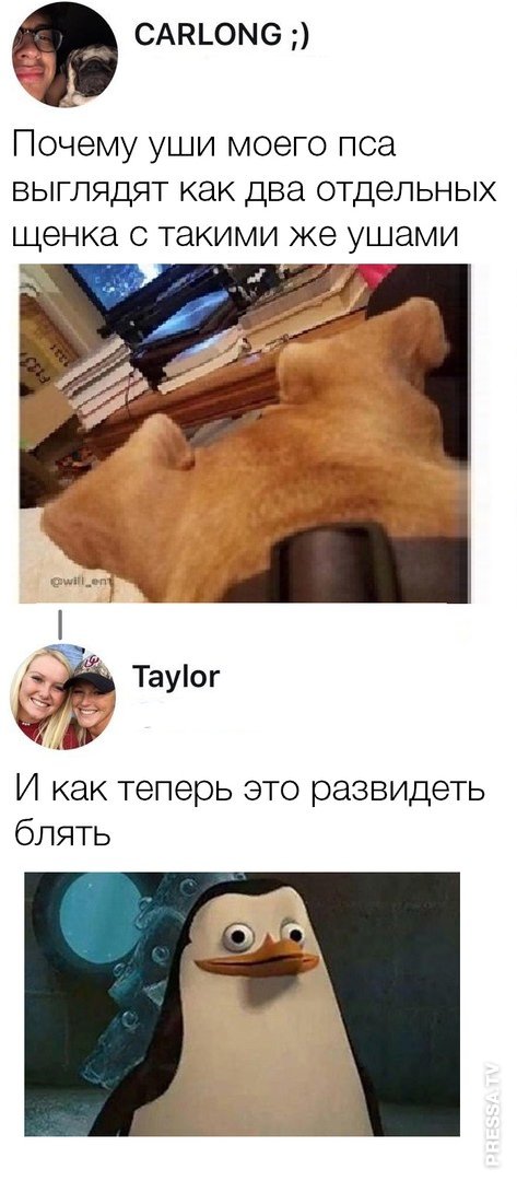Картинки и мемы для настроения