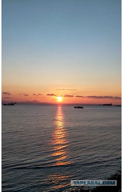 Пицце-твисты:)