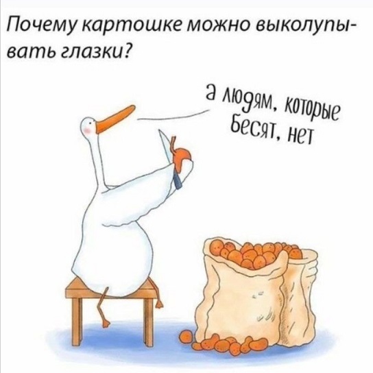 Не квакай!