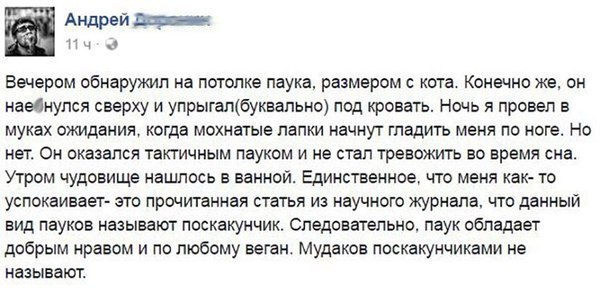 Картинки. Баян-прибоян Япа