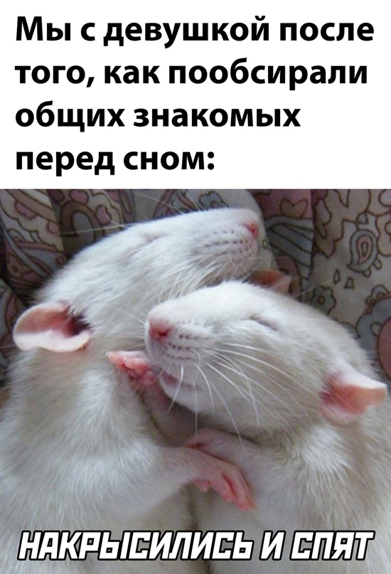 Картинки и мемы для настроения - 27