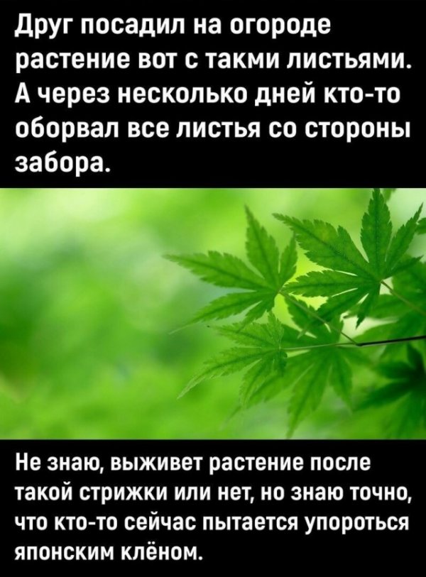 Прикольные и просто красивые картинки 27.01.2023