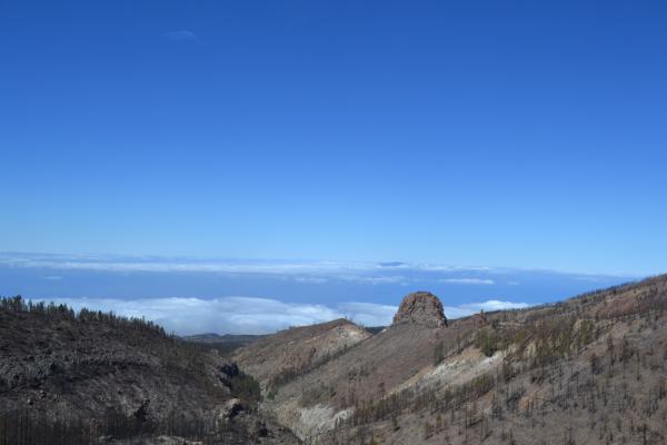 Хочу дачу на канарах!