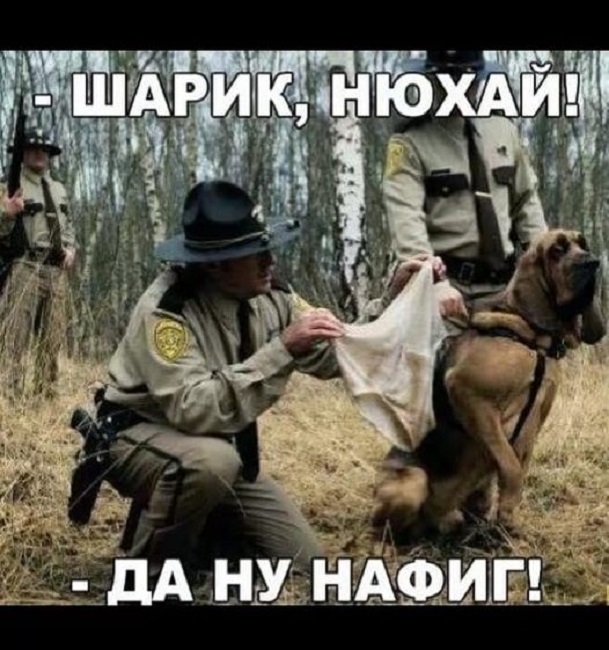 Картинки разные с надписями и без