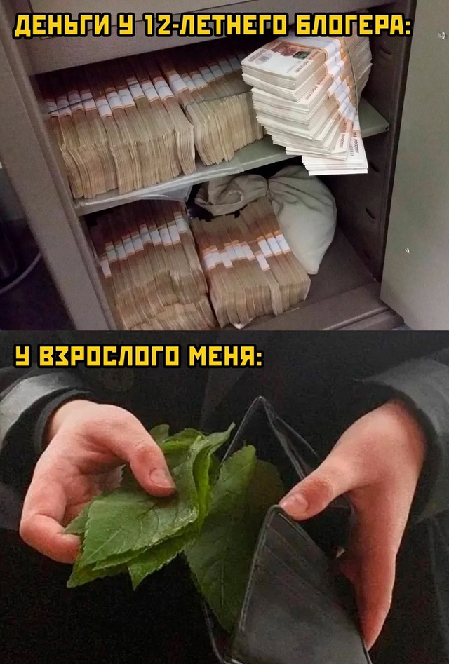 Весёлый полтишок 04.10.2024