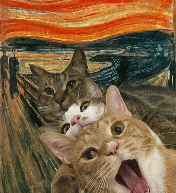 ФотоВинегрет
